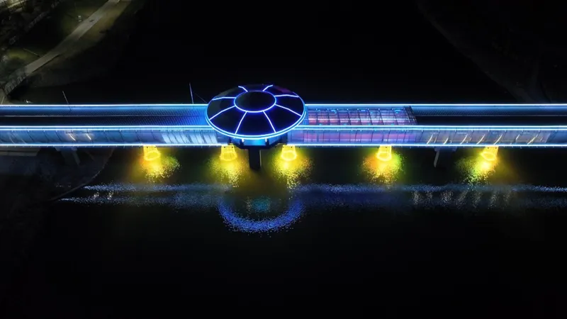SPACE BRIDGE